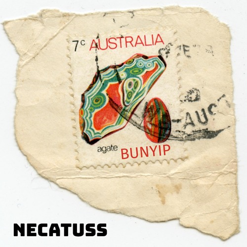 Bunyip