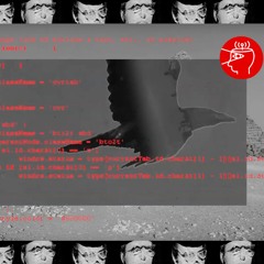 ELEKTOR x ROOM 078 (DIC/2019)