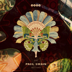 Paul Ursin - Frame (Original Mix)