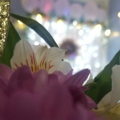 دخلوا العرسان