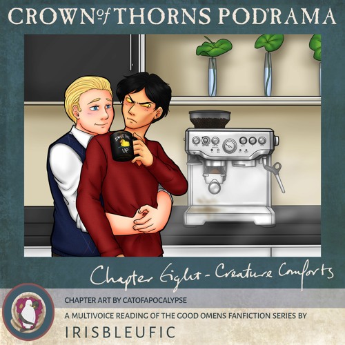 8 Creature Comforts