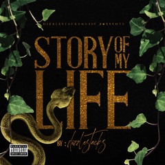 dizzlestacks - Story Of My Life