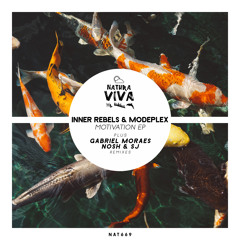 Inner Rebels, Modeplex - Motivation (Gabriel Moraes Remix)