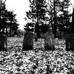 Fuck Them and Their Families