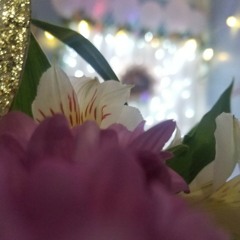 قال شو قال بيقولوا