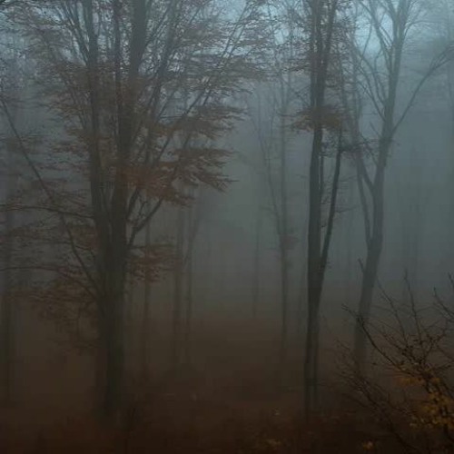 Ambient Music