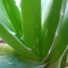 Sounds from Friday morning