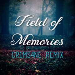 Waterflame - Field of Memories [REMIX]