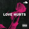 Love Hurts