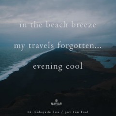 naviarhaiku318: in the beach breeze