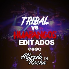 Tribal Vs Huapangos Editados Mix | Febrero 2020