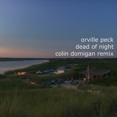 Orville Peck - Dead Of Night (Colin Domigan Remix)