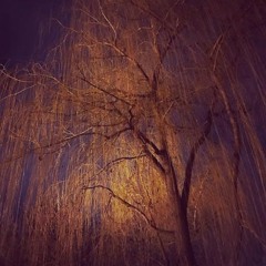 Ярмак - Пара года