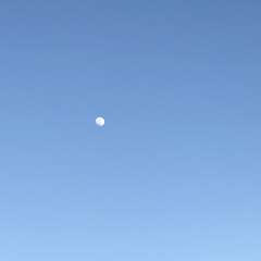 one day you’ll be my every day