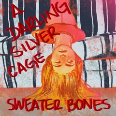 A Darling Silver Cage