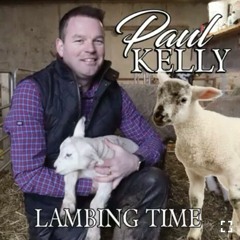 Paul kelly "lambing time "