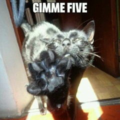 Cevas - As Mais Ouvidas