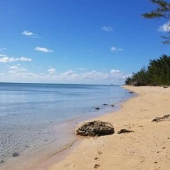 The Wishing Well (reprised)