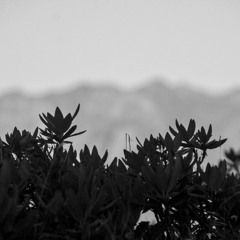 Ambient ˙♪⋄♫⋆