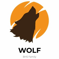 Brand New - WOLF (Original mix )