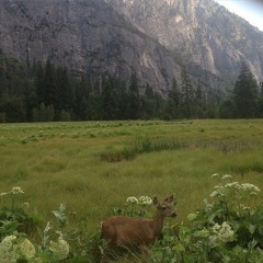 i wish to see you first thing when i open my eyes again