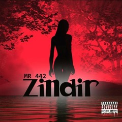 Mr442_zindirr_
