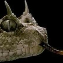 سقف لرامى جمال الجديده ٢٠٢٠.mp3