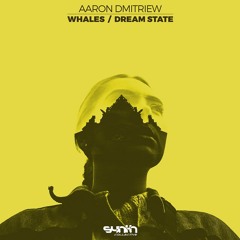 Aaron Dmitriew - Whales / Dream State [Synth Collective]