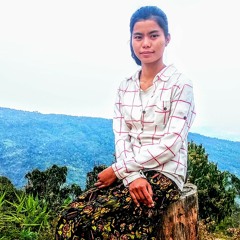 မိုးမခအိပ်မက်ခရမ်းပြာ