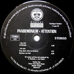 Pandemonium ‎– Attention / Digital Overload ‎– V-Load 011