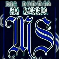 Skinny MS13 - Soyapanecos " BGLS "
