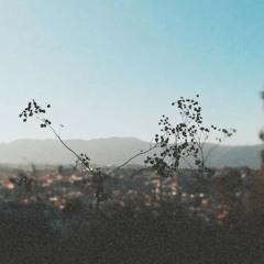 إستمع إلى إسلام صبحي (سورة القصص)(MP3_160K).mp3