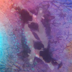 ศզนศгıนร ʞгนŋʞ