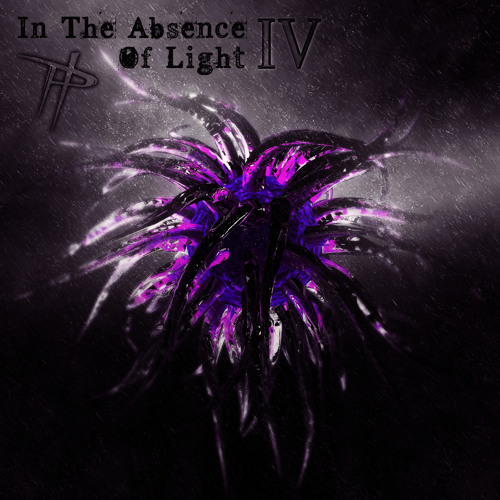 In The Absence Of Light 4
