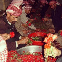 Sofî Reşîd - Dil yek e - Melayê Cizîrî