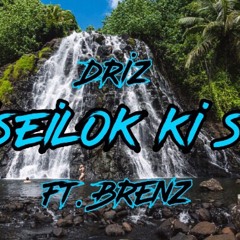 Seiseilok ki seli ~ Driz ft. 𝑩𝑹𝑬𝑵𝒁 ( 𝓓𝓢𝓕 𝓟𝓡𝓞𝓓 ) cover