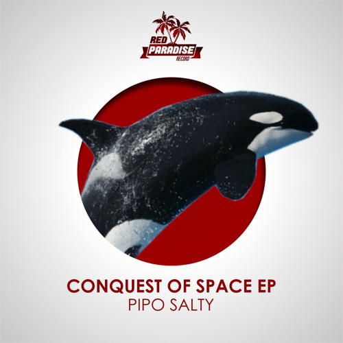 Pipo Salty - Cheap Plane (Original Mix)