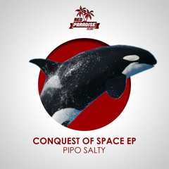 Pipo Salty - Disco On The Moon (Original Mix)