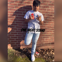 One Night Stand