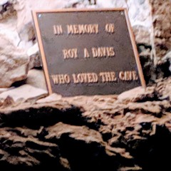 Grant Is A Faggot Vol. 4