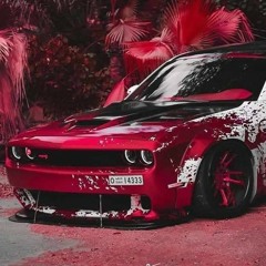 STONKIDZÉ-Ruojaus obolē (Rojaus Oboliai)