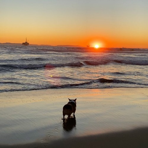 chill vibes 🌊🌤