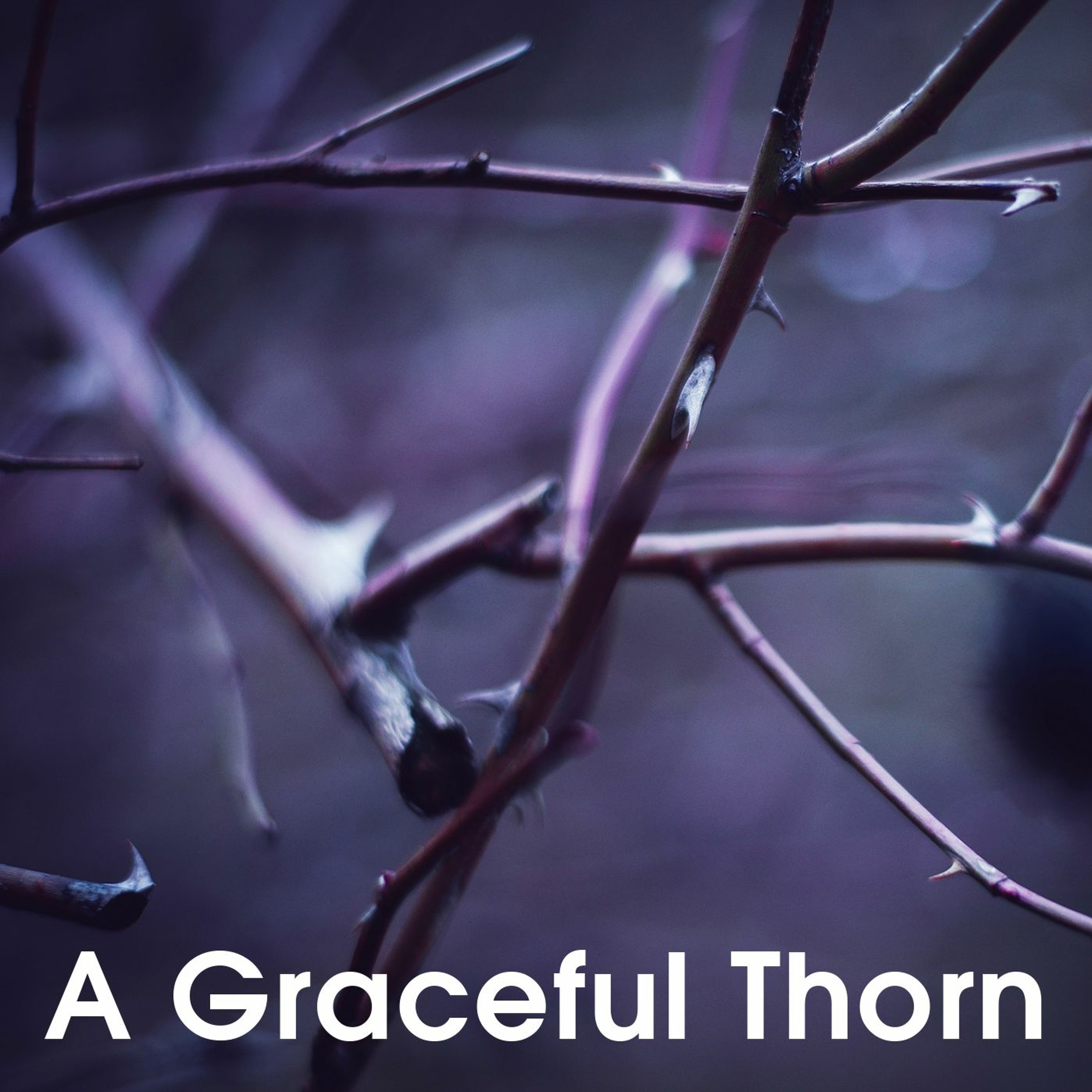A Graceful Thorn episode artwork