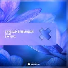 Steve Allen & Amir Hussain - Trinket (BiXX Remix)
