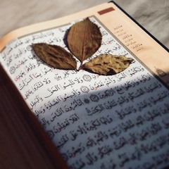 وَاللَّهُ يَعْلَمُ وَأَنتُمْ لَا تَعْلَمُونَ | أحمد العجمي