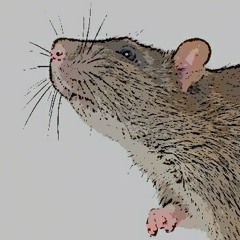 Rat Trap