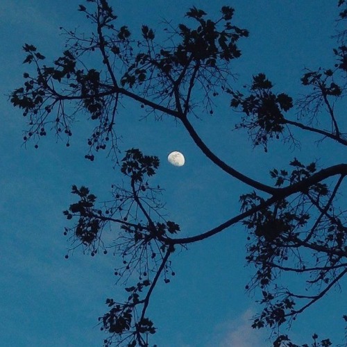 Man Under The Moon Ep Prod Brewster By Bryan Brewster