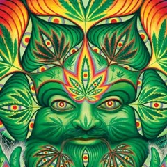 Ilumination 150 bpm - Seven'Z -Psycose Records & Monkey Forest - 16 bit