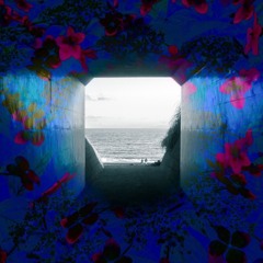 天国にはいかない