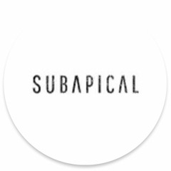 Subapical 05 - Binary Visions ep